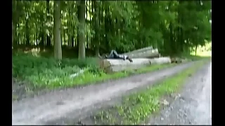 483 bizarre porn videos